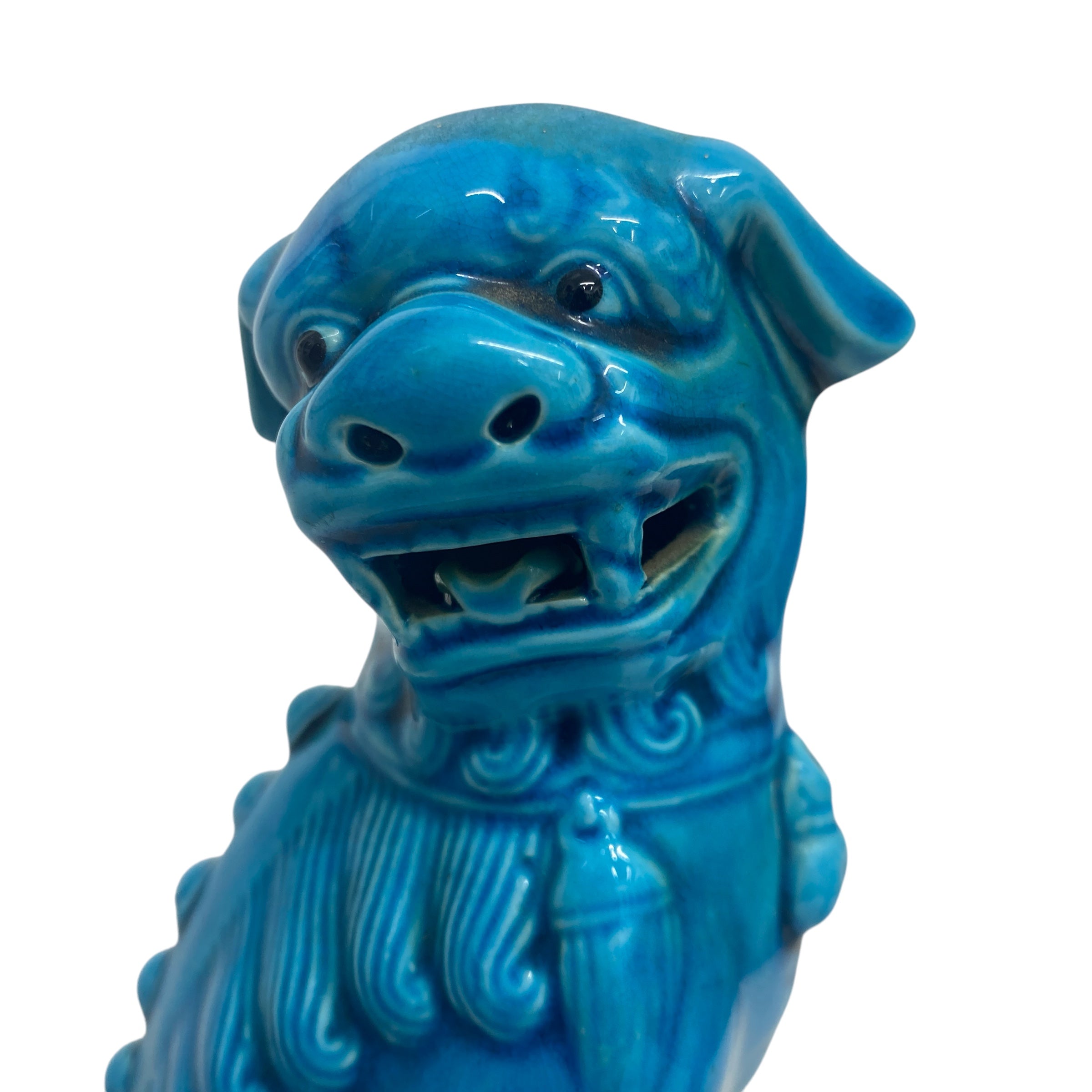 foo dog face