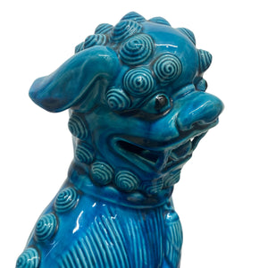 foo dog eyes